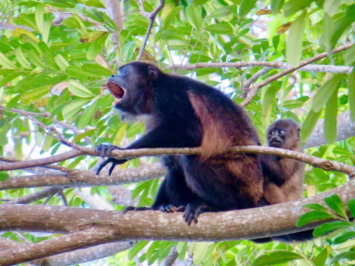 Villa Ometepe Merida Luaran gambar